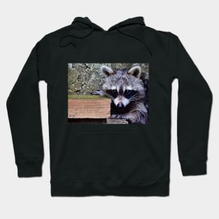 My Raccoon Hoodie